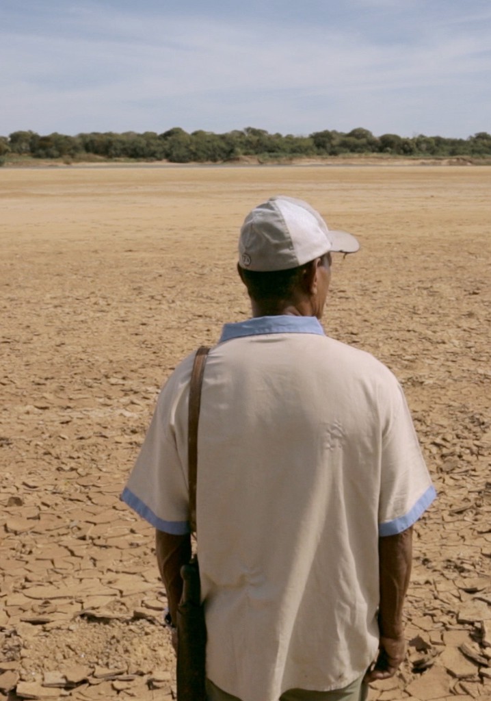 Assistir Sangue da Terra ver séries online