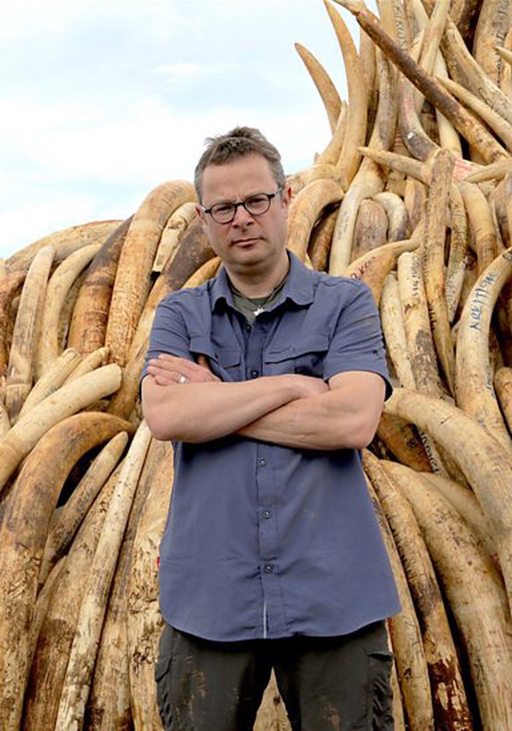 Saving Africa S Elephants Hugh And The Ivory War Streaming