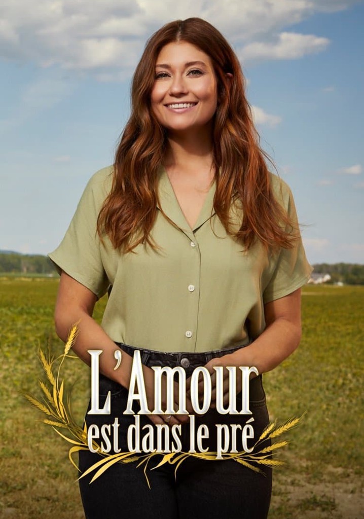 Regarder L Amour Est Dans Le Pr Streaming