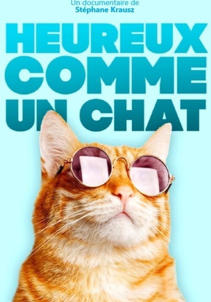 Regarder Heureux Comme Un Chat En Streaming Complet