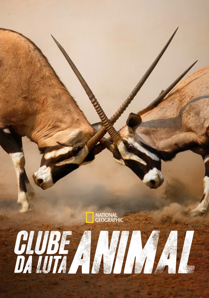 Assistir Clube da Luta Animal ver séries online