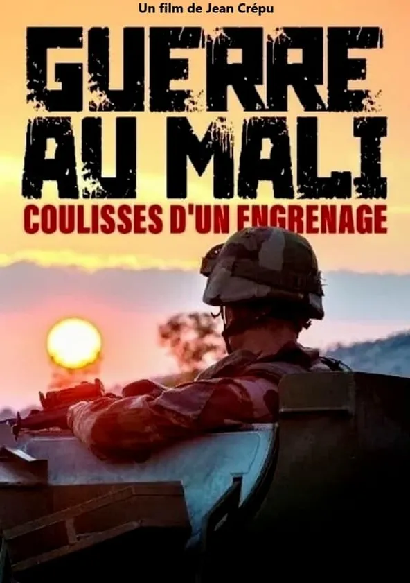 Guerre Au Mali Coulisses D Un Engrenage En Streaming