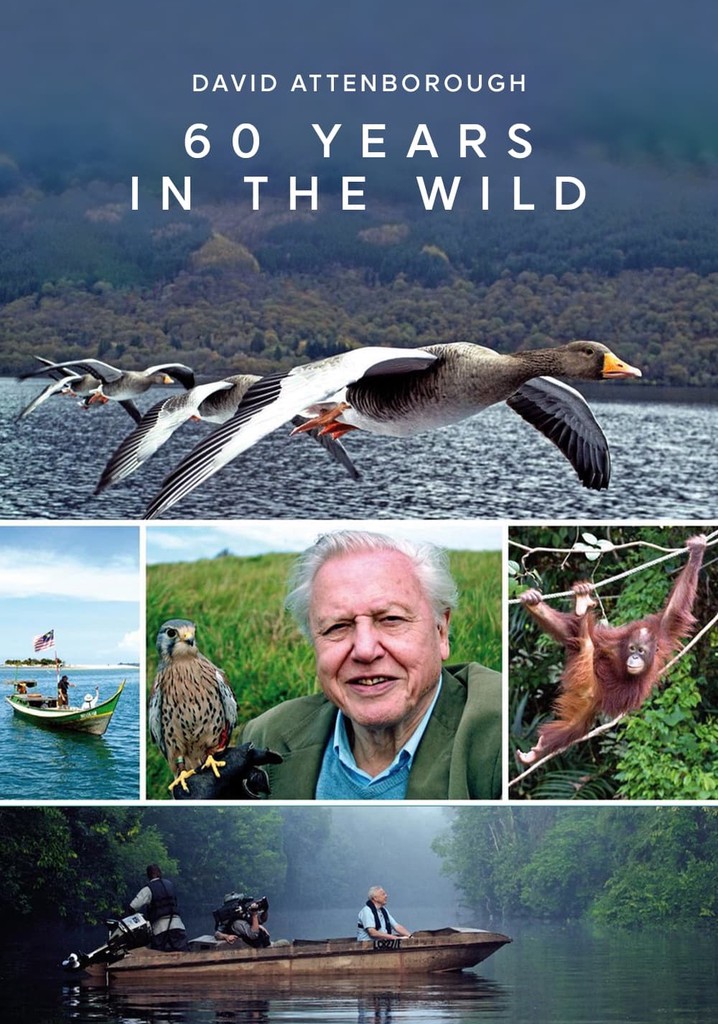 Attenborough 60 Years In The Wild Season 1 Streaming