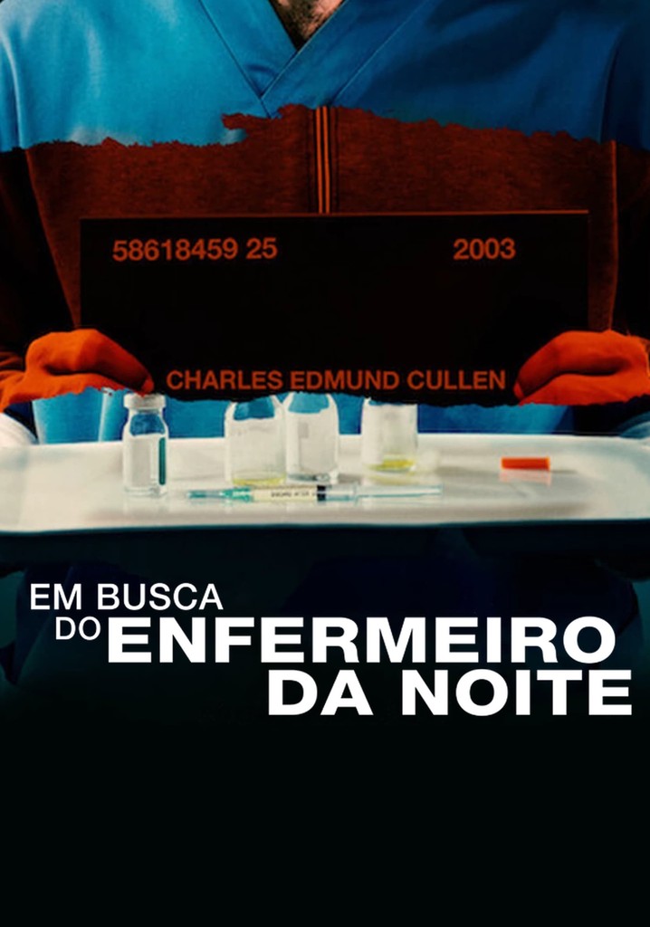 Em Busca Do Enfermeiro Da Noite Filme Assistir