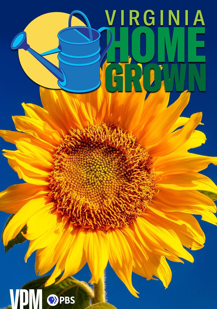 Virginia Home Grown Season Watch Episodes Streaming Online