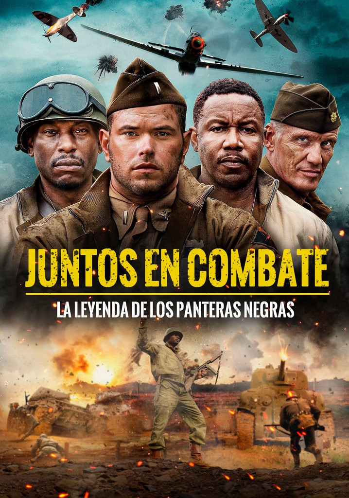 Juntos en combate película Ver online en español