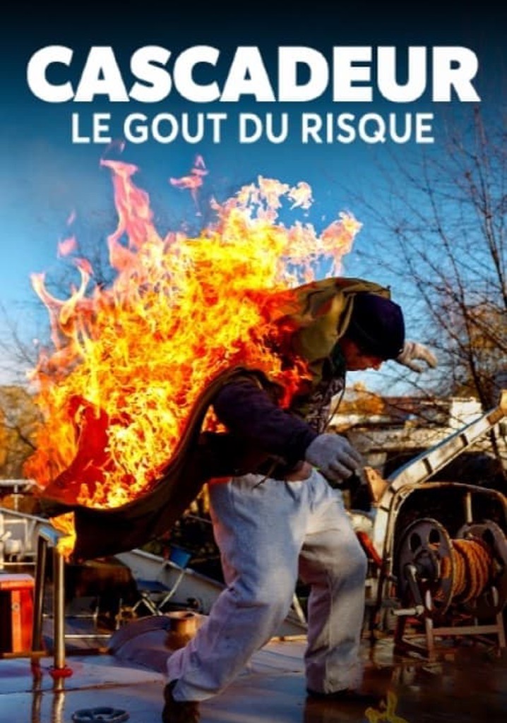 Regarder Cascadeur Le Go T Du Risque En Streaming