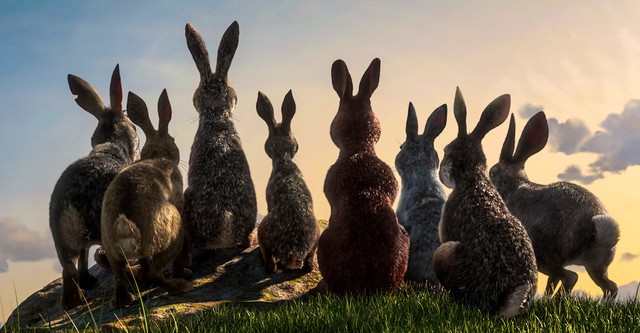 Watership Down Season 1 - watch episodes streaming online