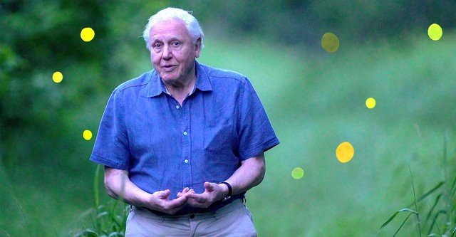 Attenborough's Life That Glows