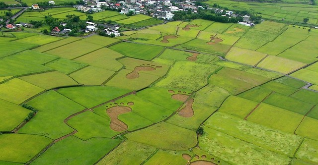 Beyond Beauty: Taiwan from Above