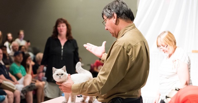 Catwalk: Tales from the Cat Show Circuit