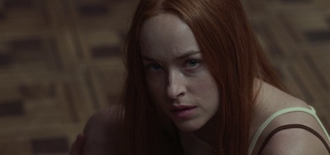 Saiba quais são os melhores filmes de Dakota Johnson, de Madame Teia, e saiba onde é possível assistir a eles online
