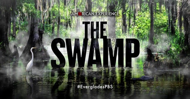 The Swamp