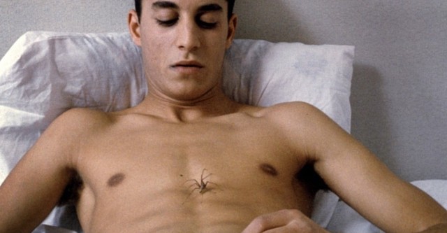 Open Bodies (Cuerpos abiertos)