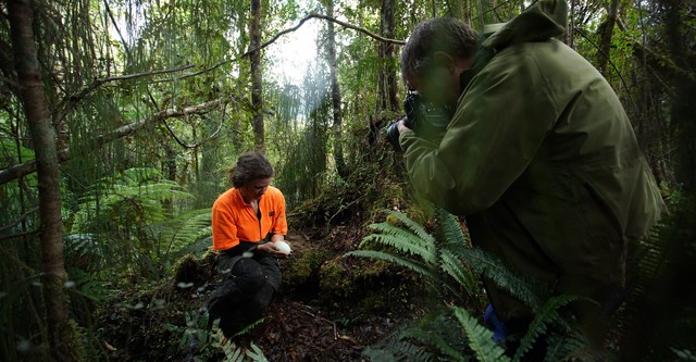 Rare: Creatures of the Photo Ark