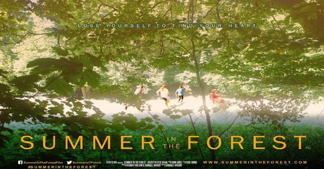 Summer in the Forest