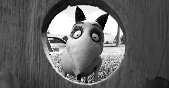 Frankenweenie: Domácí mazlíček