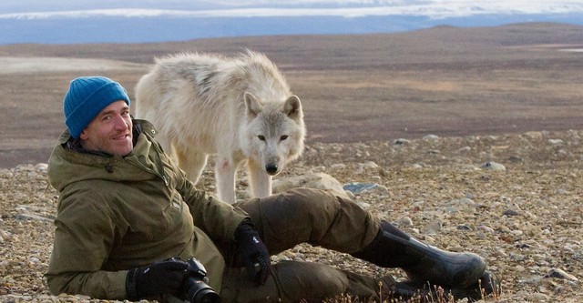 Snow Wolf Family and Me