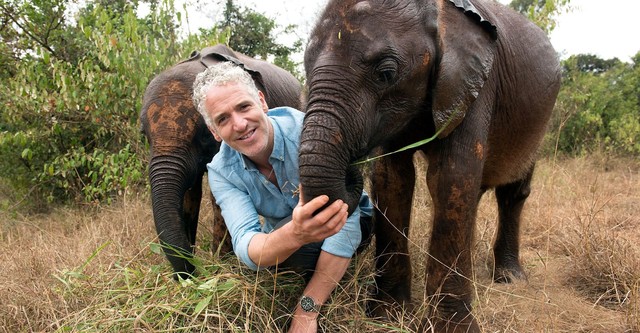 Gordon Buchanan: Elephant Family & Me