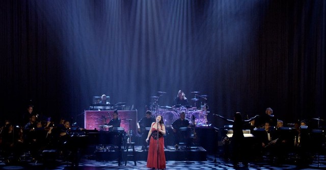 Evanescence - Synthesis Live