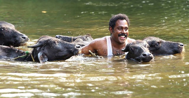 Chalakkudikkaran Changathi