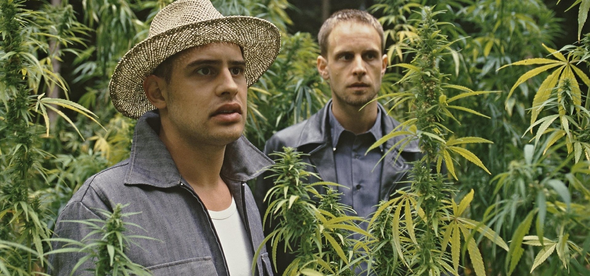 Lammbock - Stream: Jetzt Film online finden und anschauen