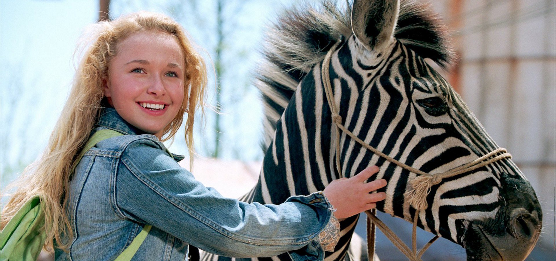 Racing Stripes movie watch streaming online