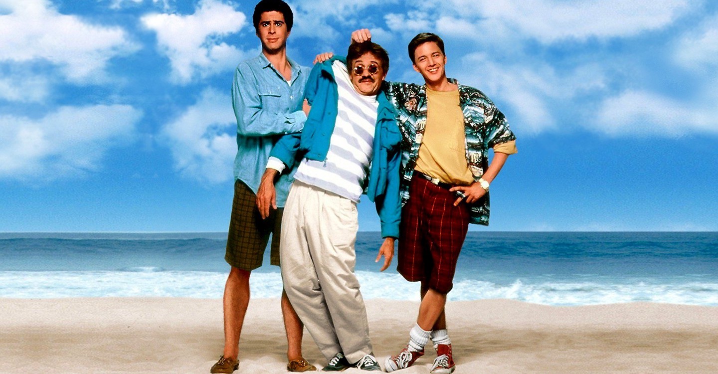 Este muerto está muy vivo película Ver online