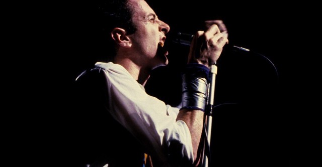 Joe Strummer: Vida y muerte de un cantante