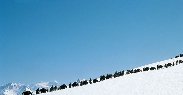 Himalaya – L’infanzia di un capo