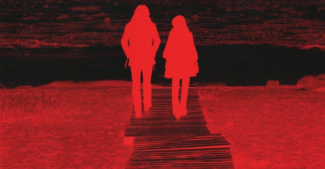 The White Stripes: Under Great White Northern Lights (DVD