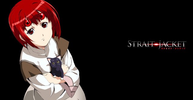 Strait Jacket: Legend of the Demon Hunter