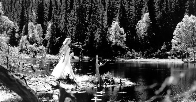 Lake of the Dead