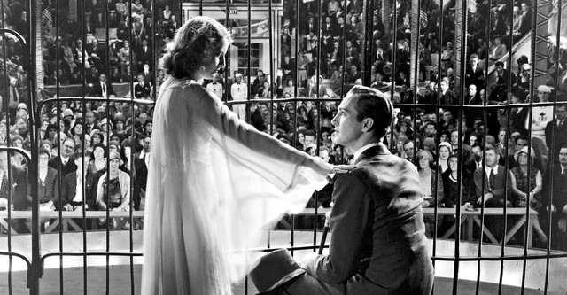 La donna del miracolo