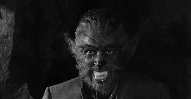 O Lobo Humano