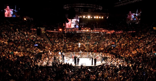 UFC 120: Bisping vs. Akiyama