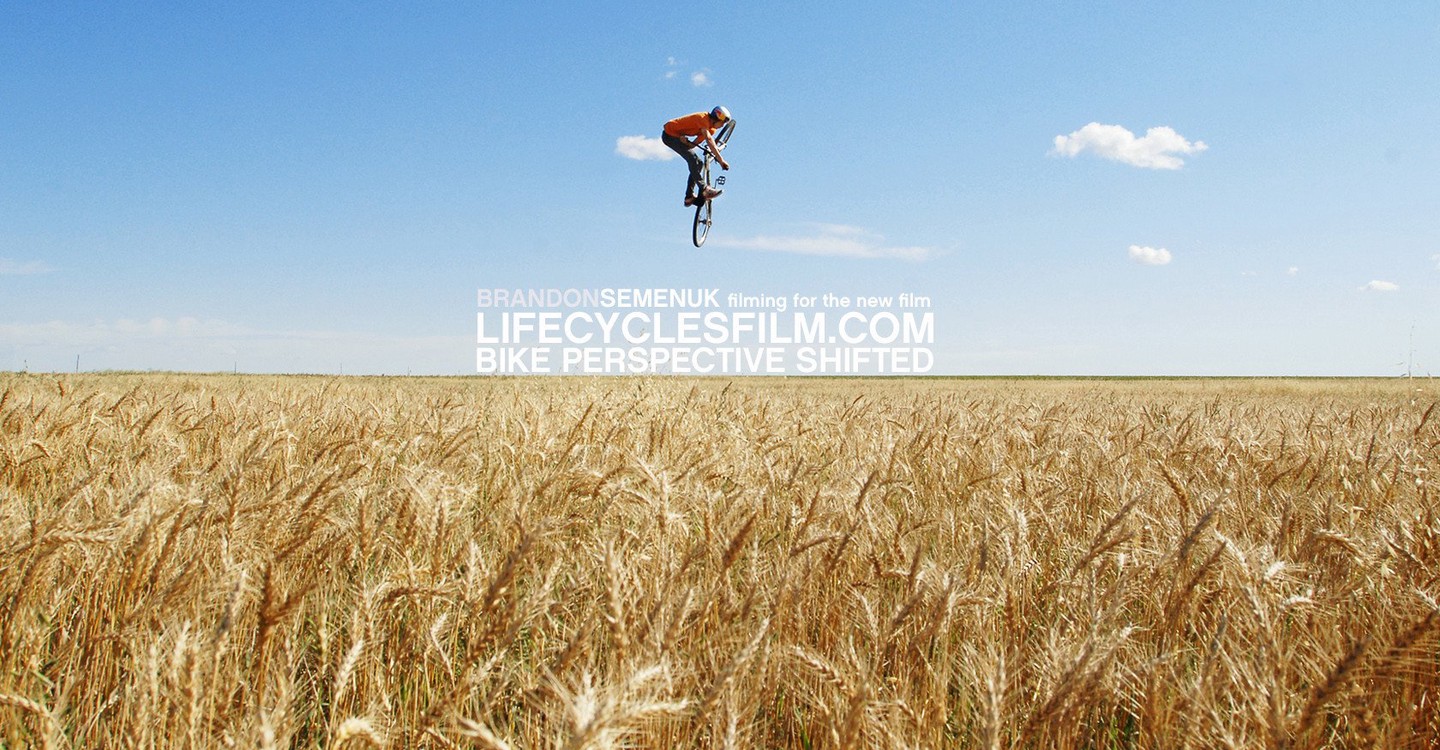 life cycles 2010