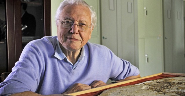 David Attenborough's Rise of Animals: Triumph of the Vertebrates