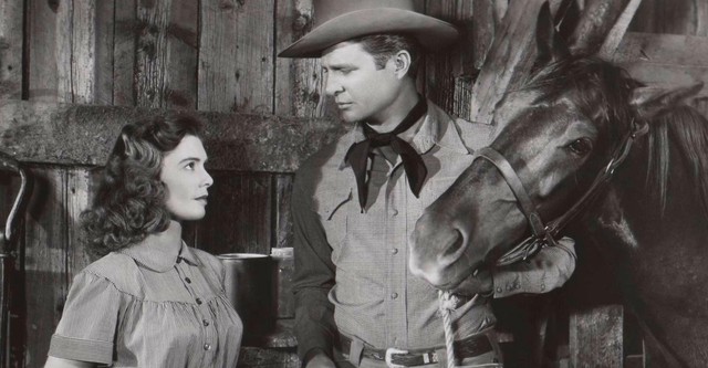 Red Stallion In The Rockies