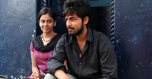 Vil Ambu
