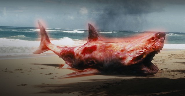 Requins Radioactifs