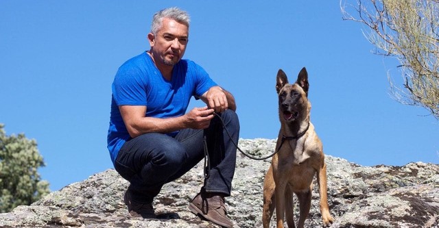 Cesar Millan Auf den Hund gekommen