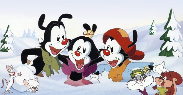 Animaniacs: Wakkos Wunsch