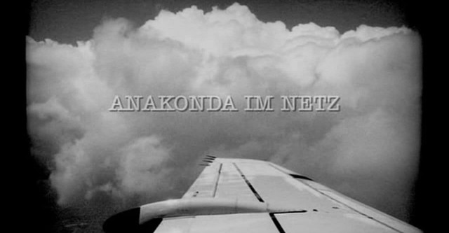 Anakonda im Netz