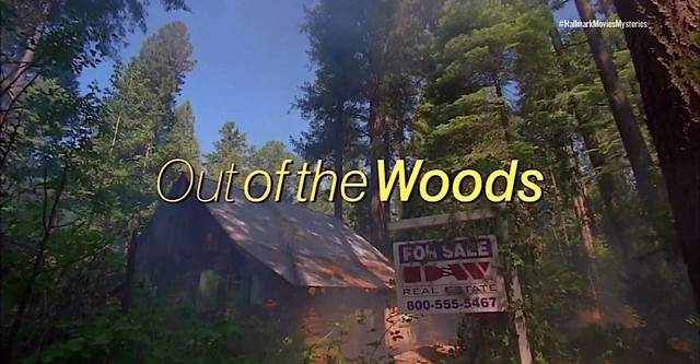 Out of the Woods