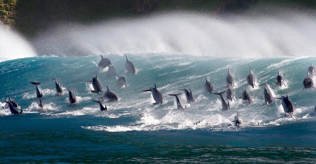 Oceans: Our Blue Planet