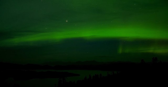 Entre ciel et terre : Une autre vision de la chasse