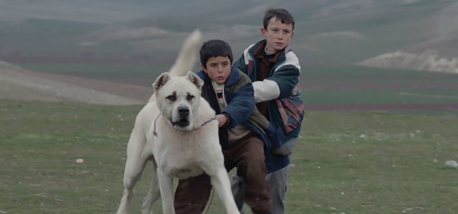 Sivas movie where to watch streaming online