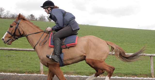 Caballo ganador