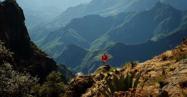 Mexico: Earth's Festival of Life